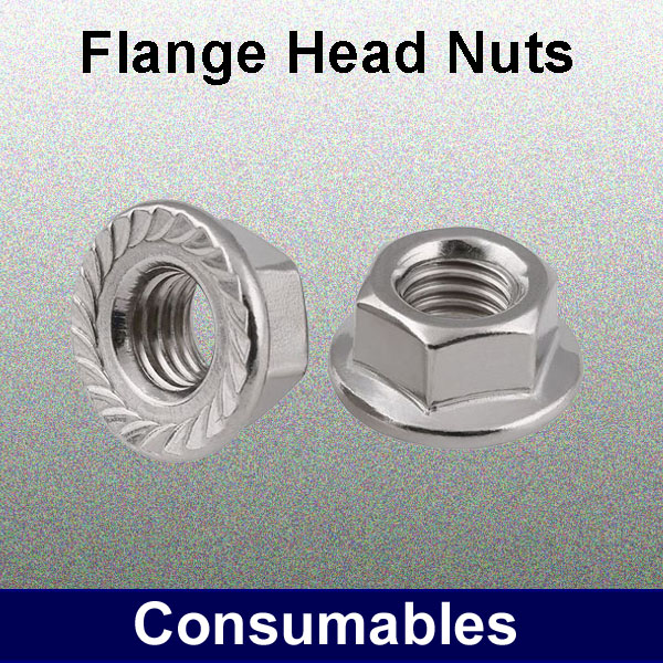 Flange Head Nuts